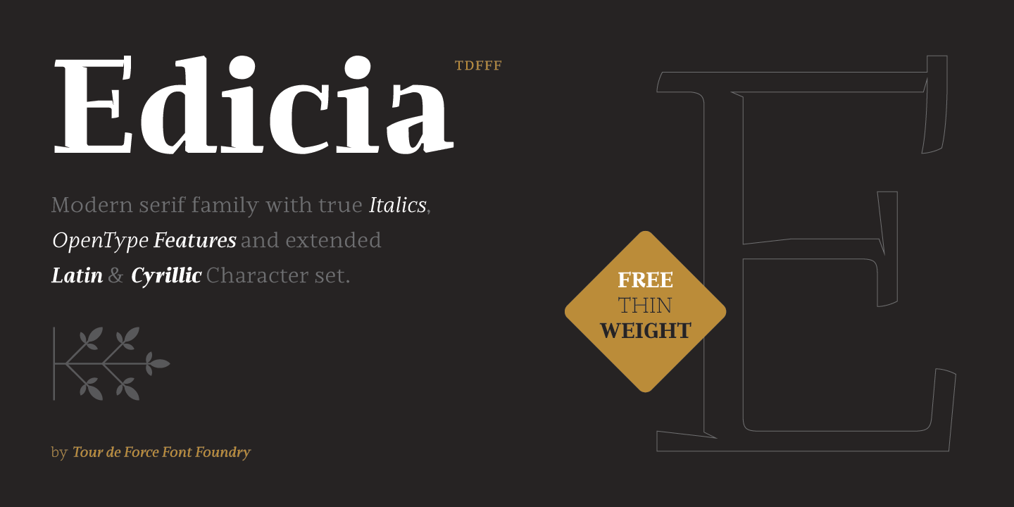 Beispiel einer Edicia Black Italic-Schriftart